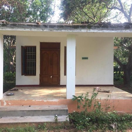 Art Forest Hotel Auroville Exterior photo