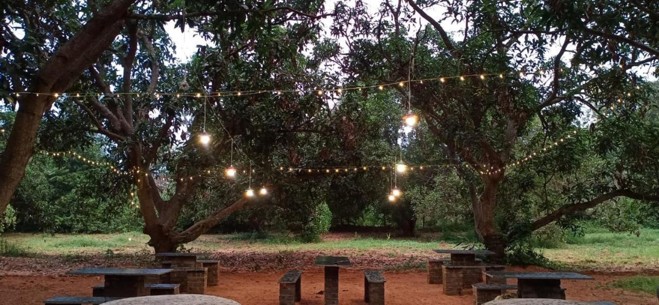 Art Forest Hotel Auroville Exterior photo