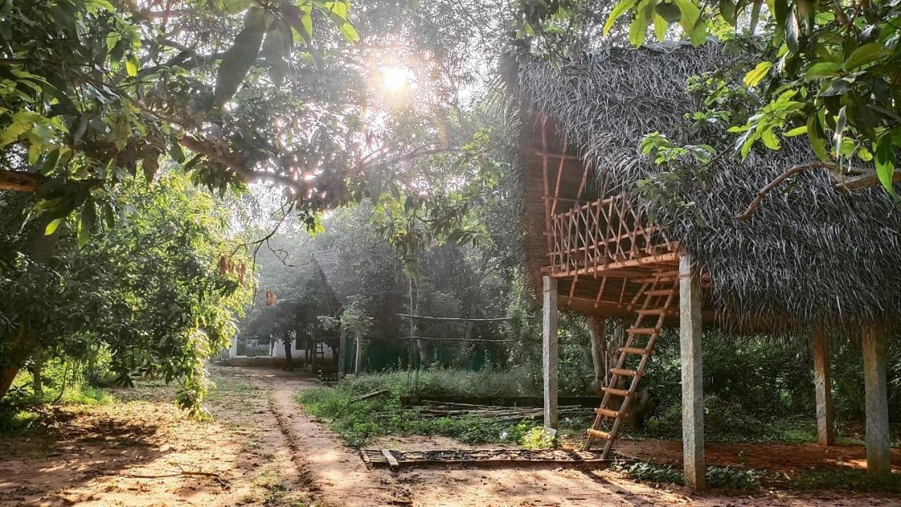 Art Forest Hotel Auroville Exterior photo